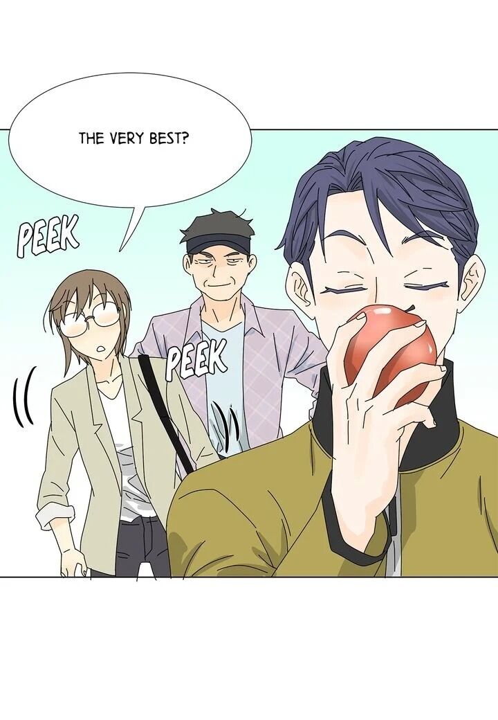 Page 28 of Chapter 33