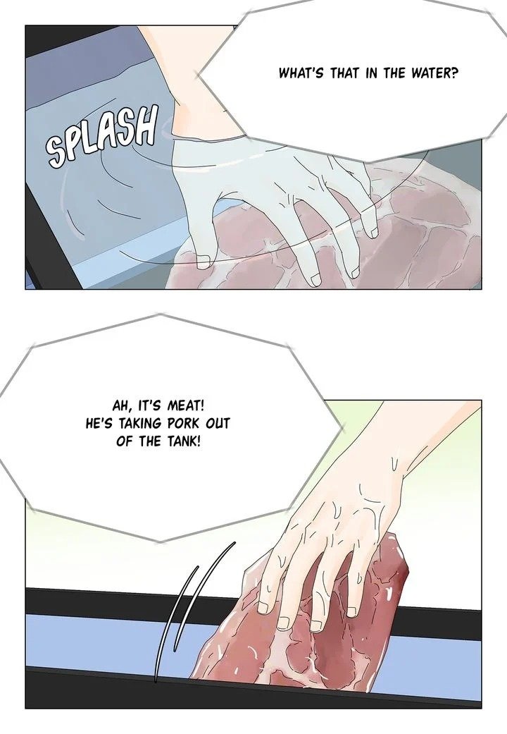 Page 20 of Chapter 51
