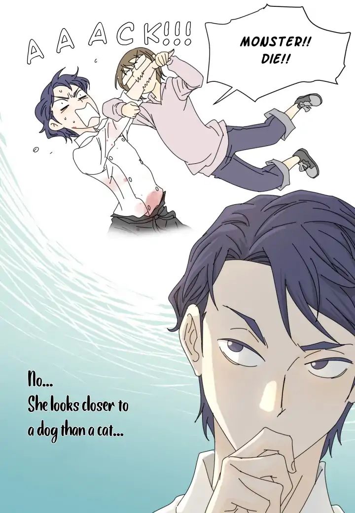 Page 19 of Chapter 7