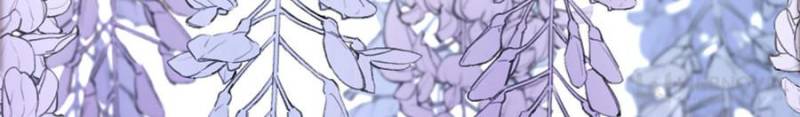Page 50 of Chapter 141