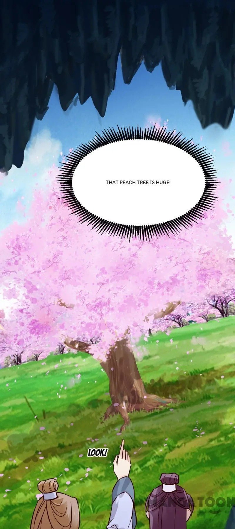 Page 27 of Chapter 91
