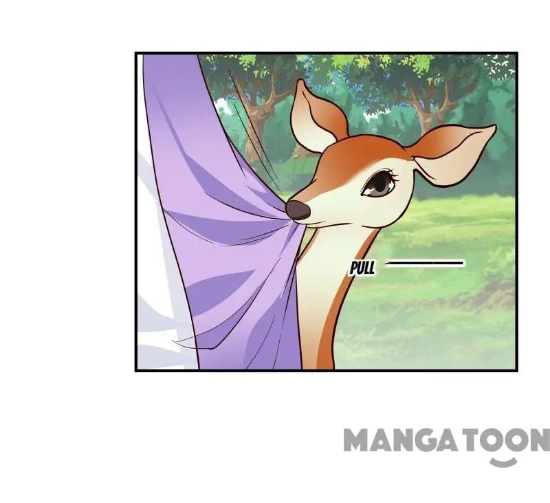 Page 13 of Chapter 95