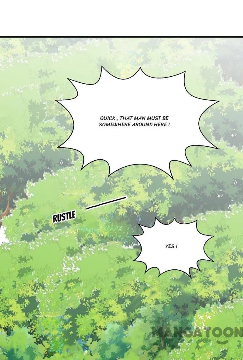 Page 31 of Chapter 95