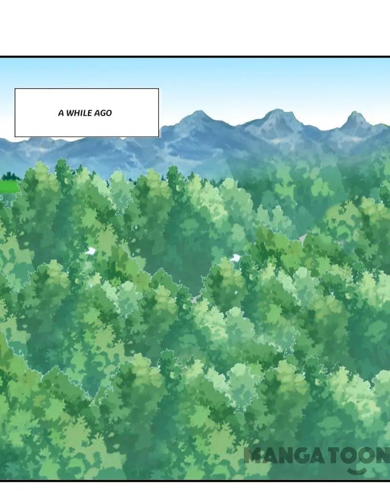 Page 6 of Chapter 96