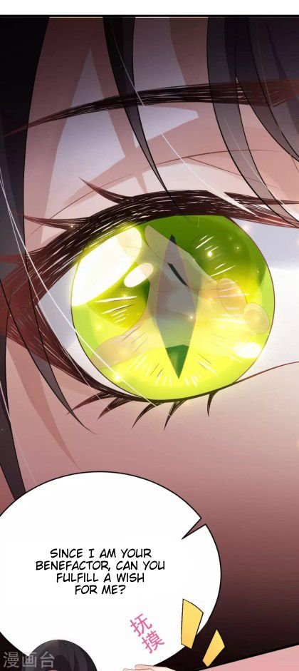Page 7 of Chapter 29.5