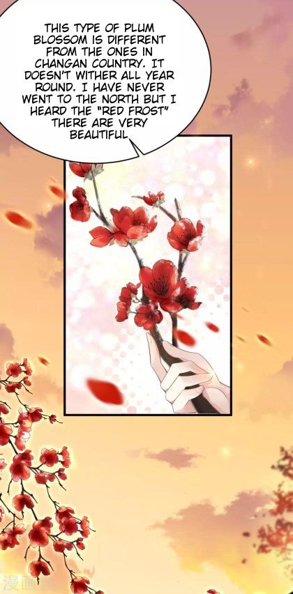 Page 4 of Chapter 29
