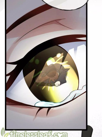 Page 11 of Chapter 41.2