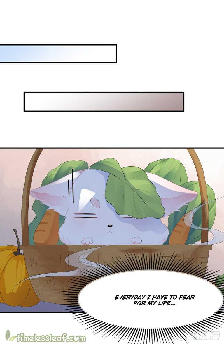 Page 1 of Chapter 1.5