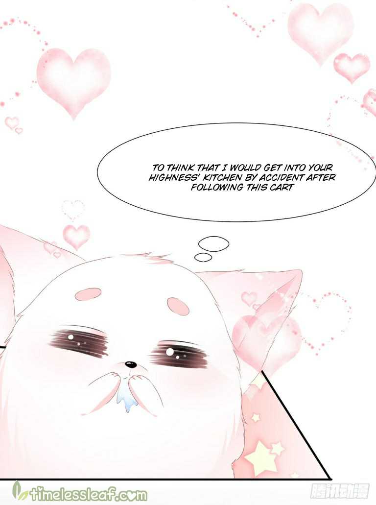 Page 3 of Chapter 1.5