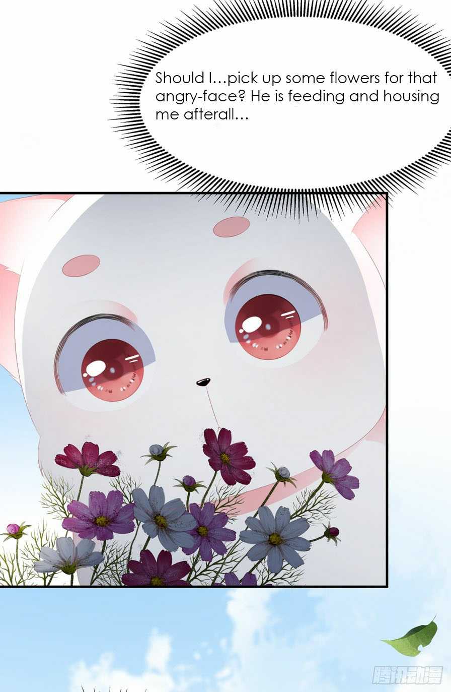 Page 13 of Chapter 10.5