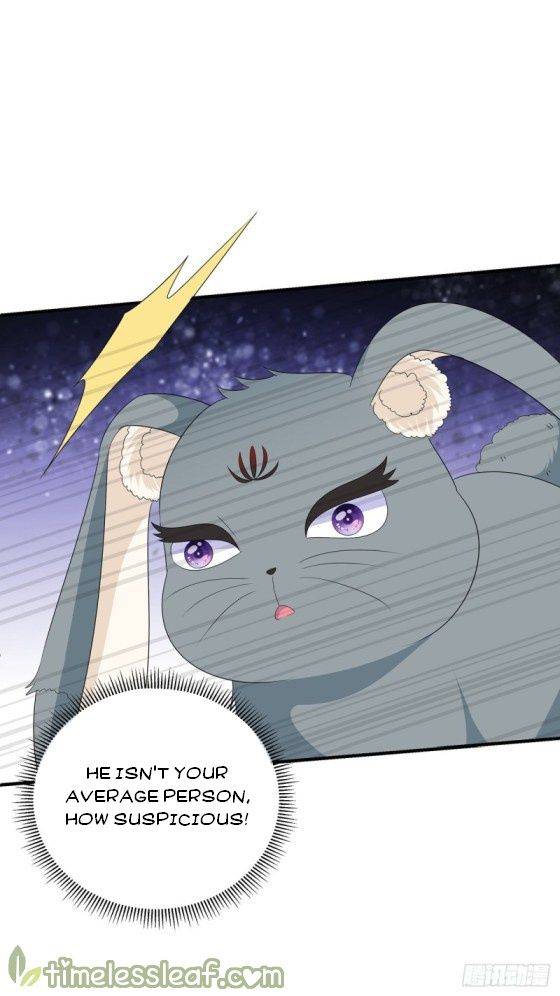 Page 14 of Chapter 104