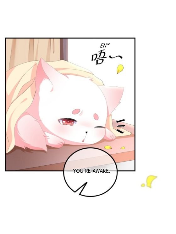 Page 9 of Chapter 109.5