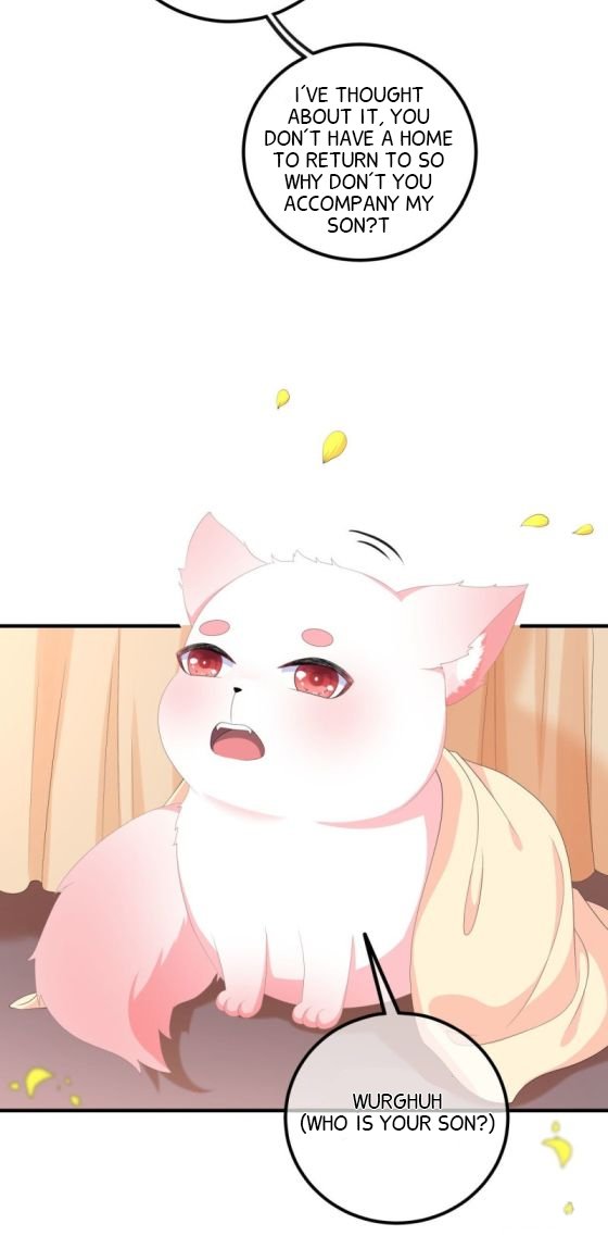 Page 12 of Chapter 109.5