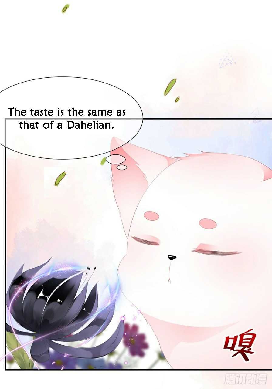Page 2 of Chapter 11