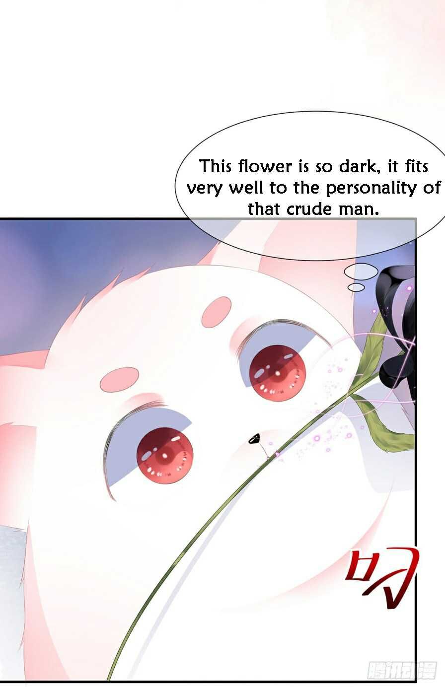 Page 3 of Chapter 11