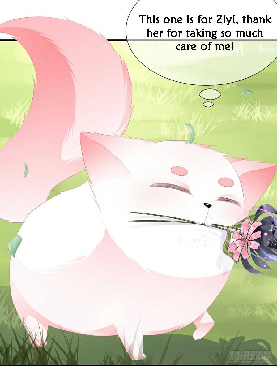 Page 6 of Chapter 11