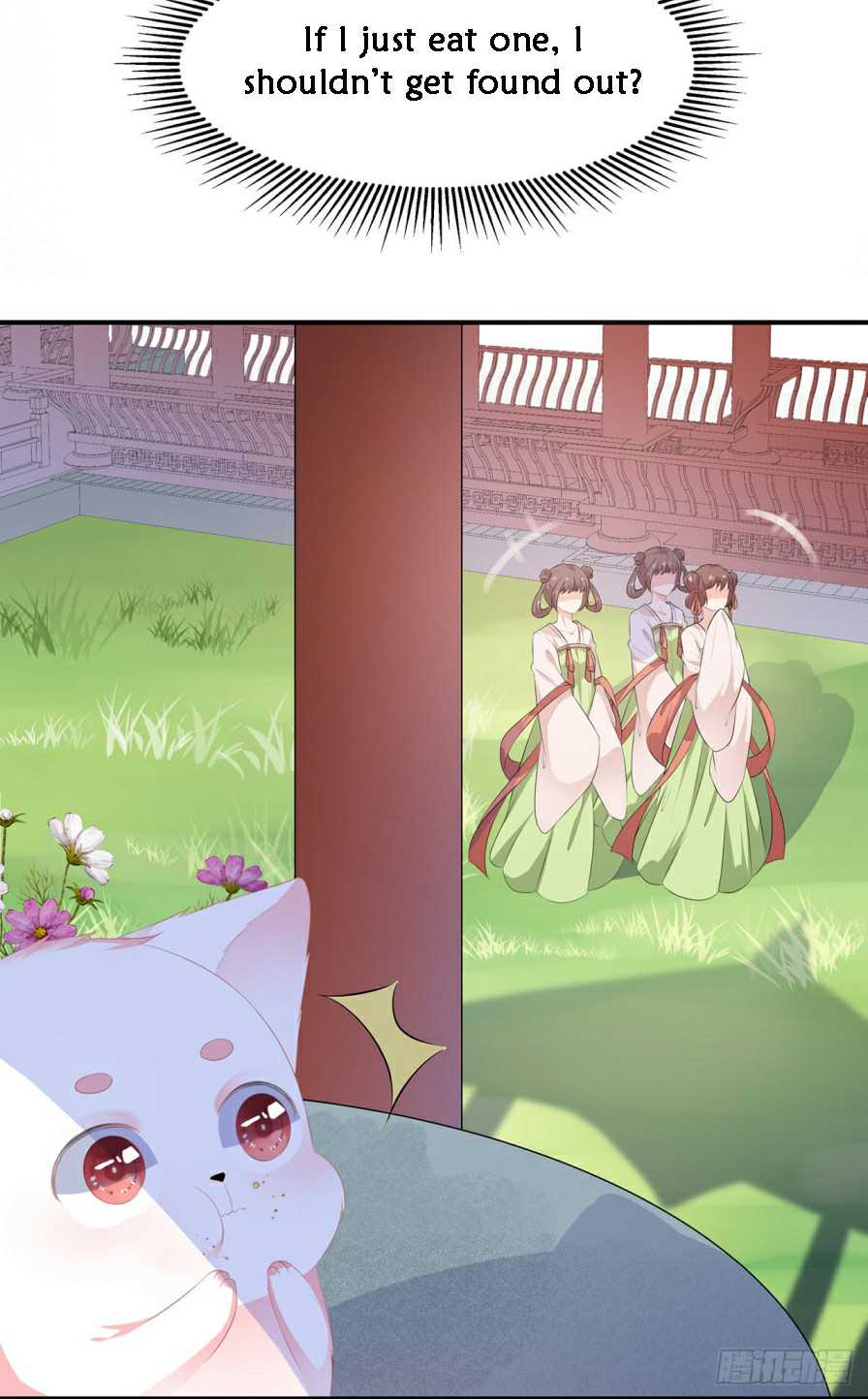 Page 13 of Chapter 11