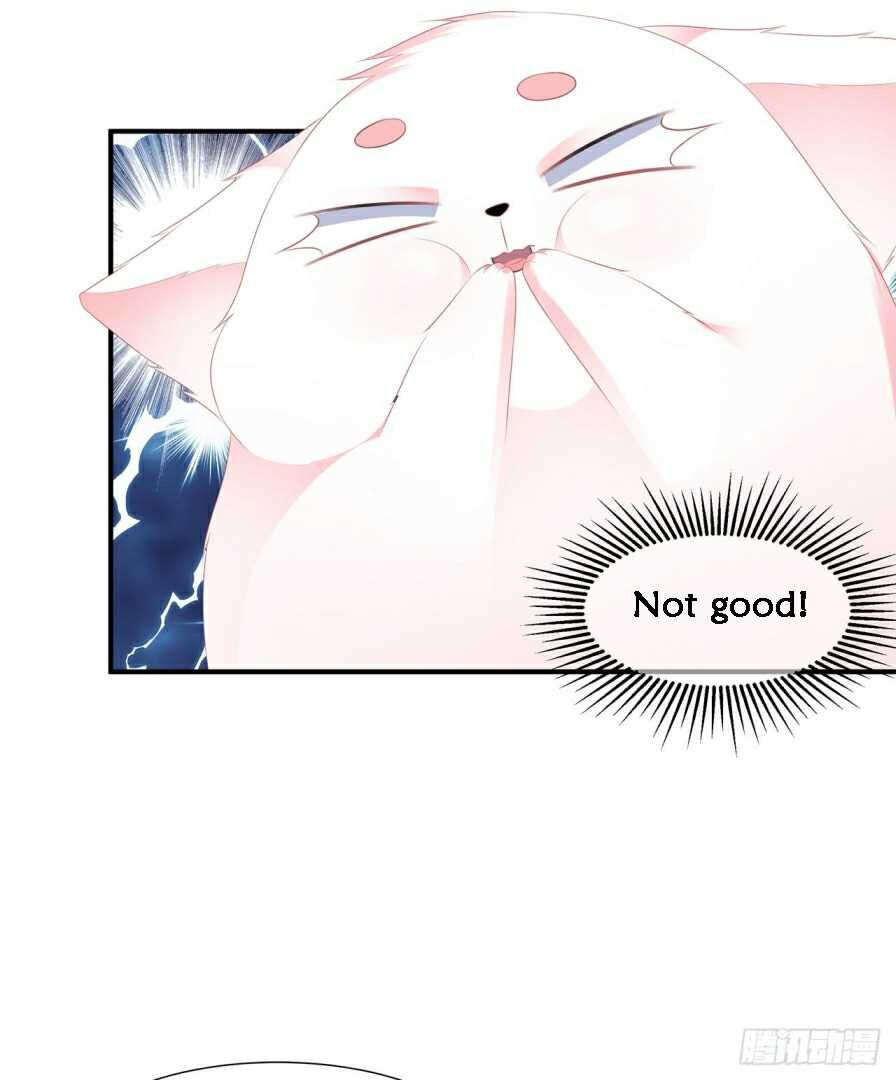 Page 16 of Chapter 11