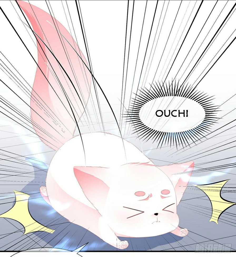Page 4 of Chapter 11.5
