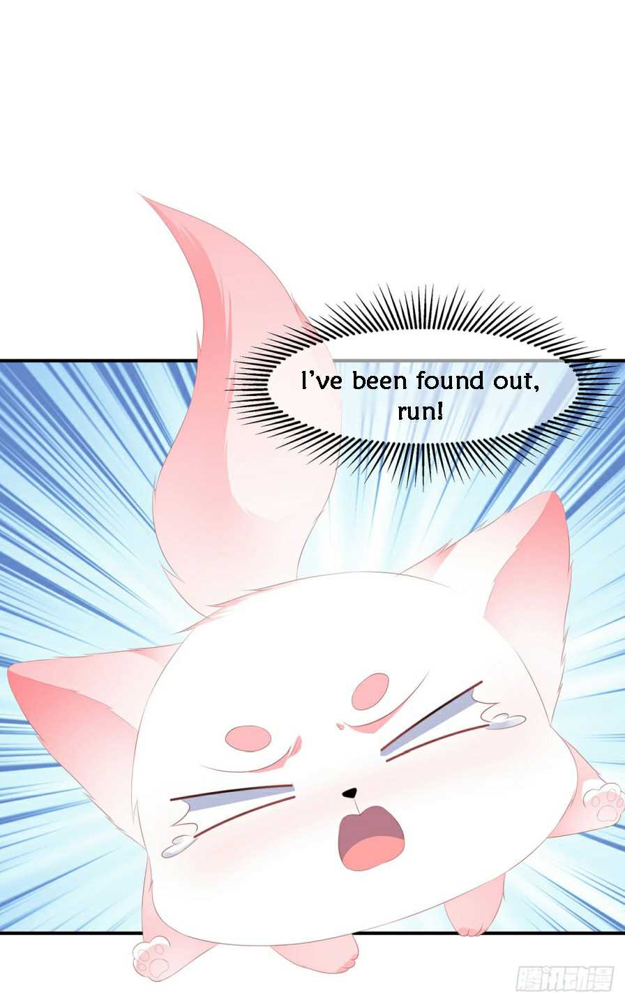 Page 6 of Chapter 11.5