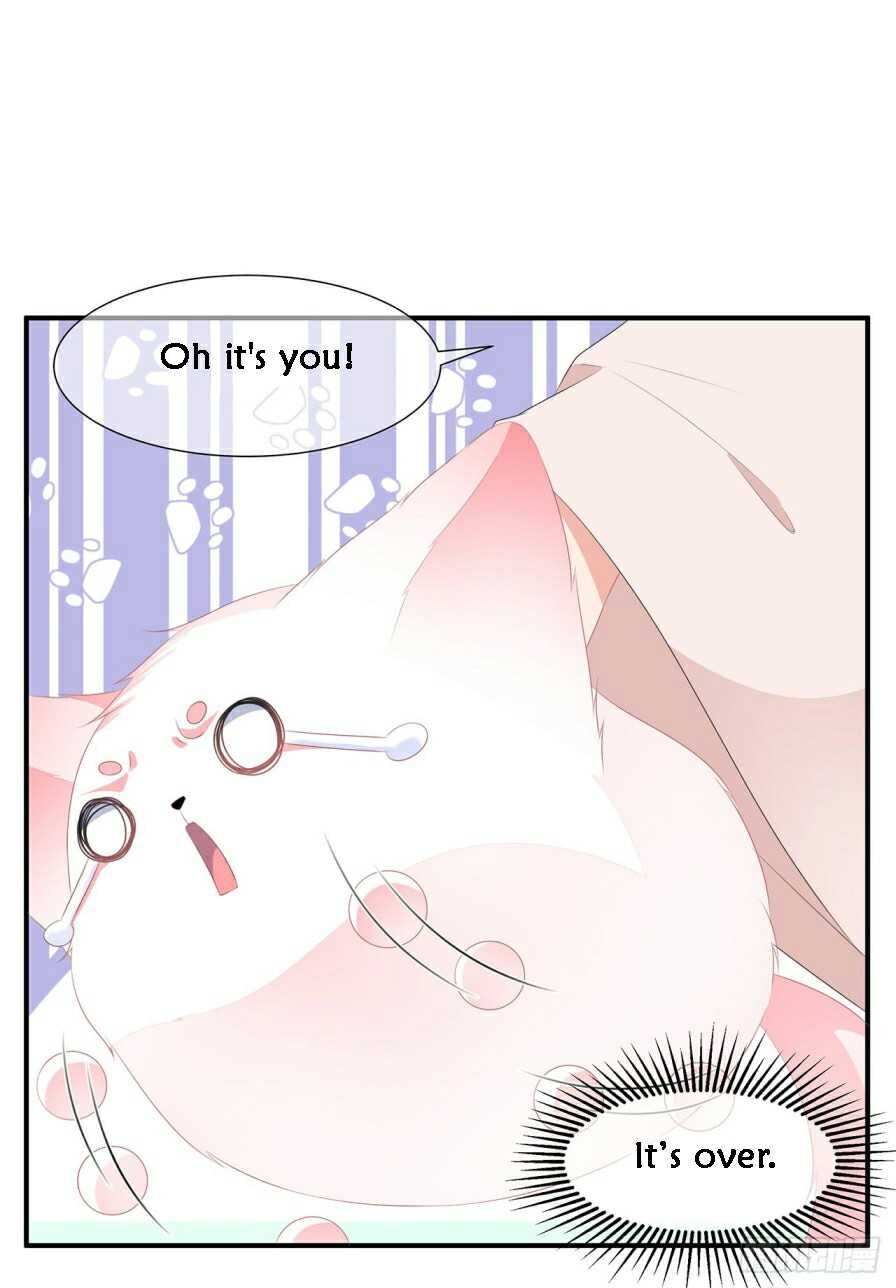 Page 7 of Chapter 11.5