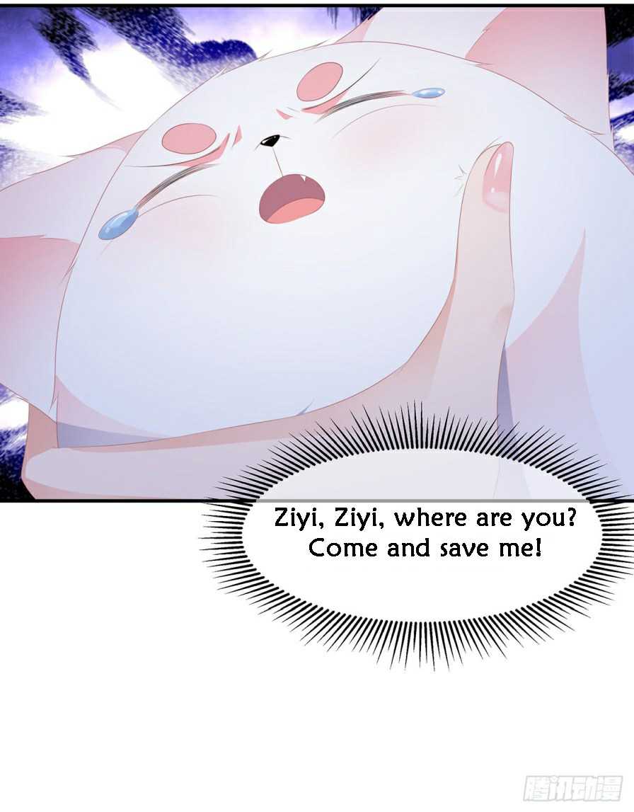 Page 12 of Chapter 11.5