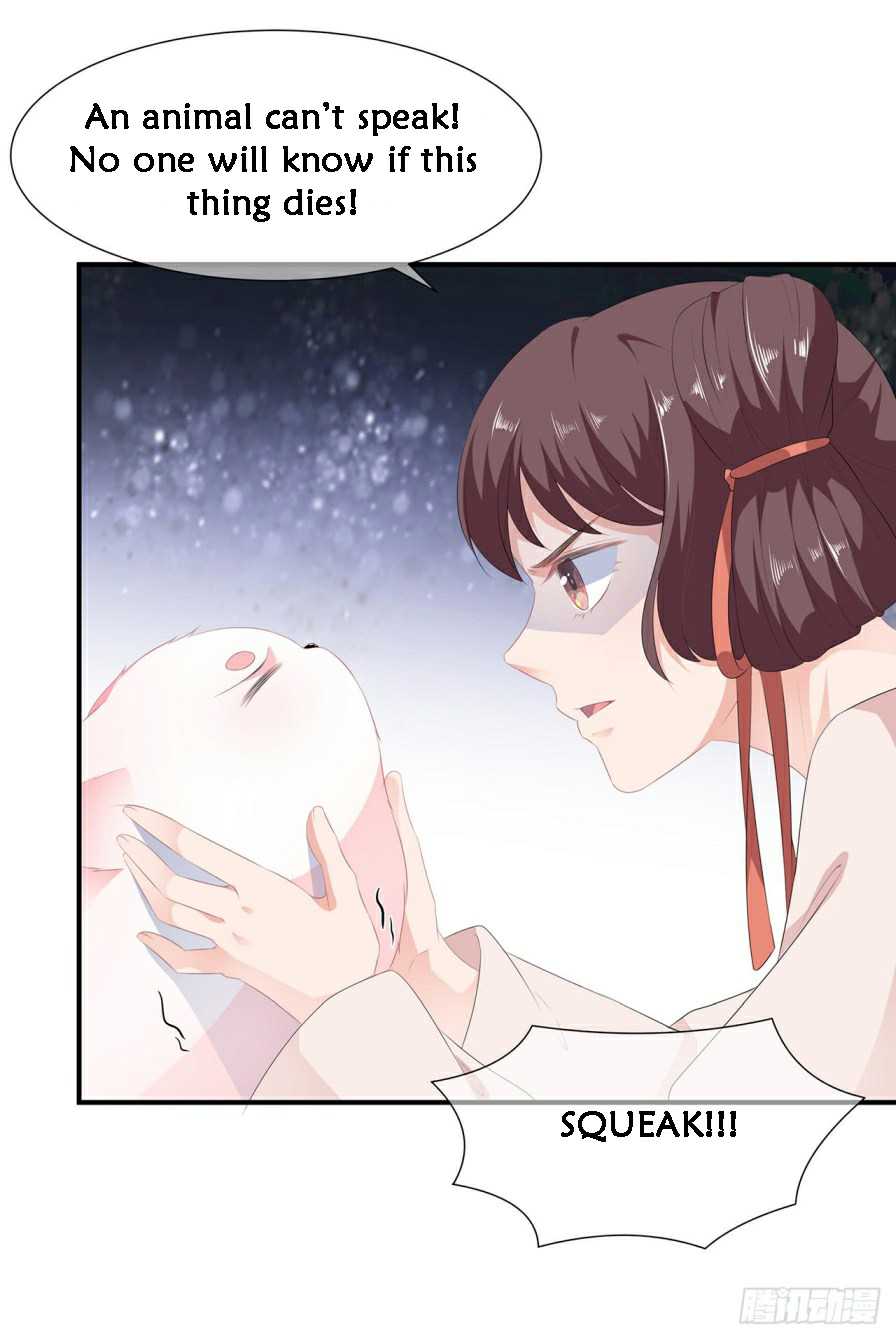 Page 15 of Chapter 11.5