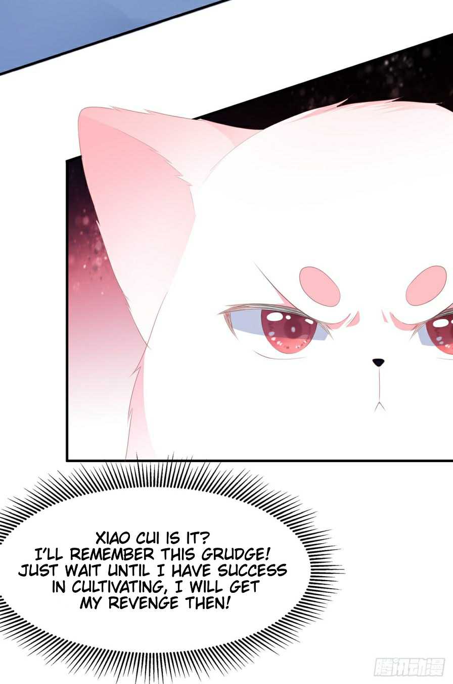 Page 3 of Chapter 12.5