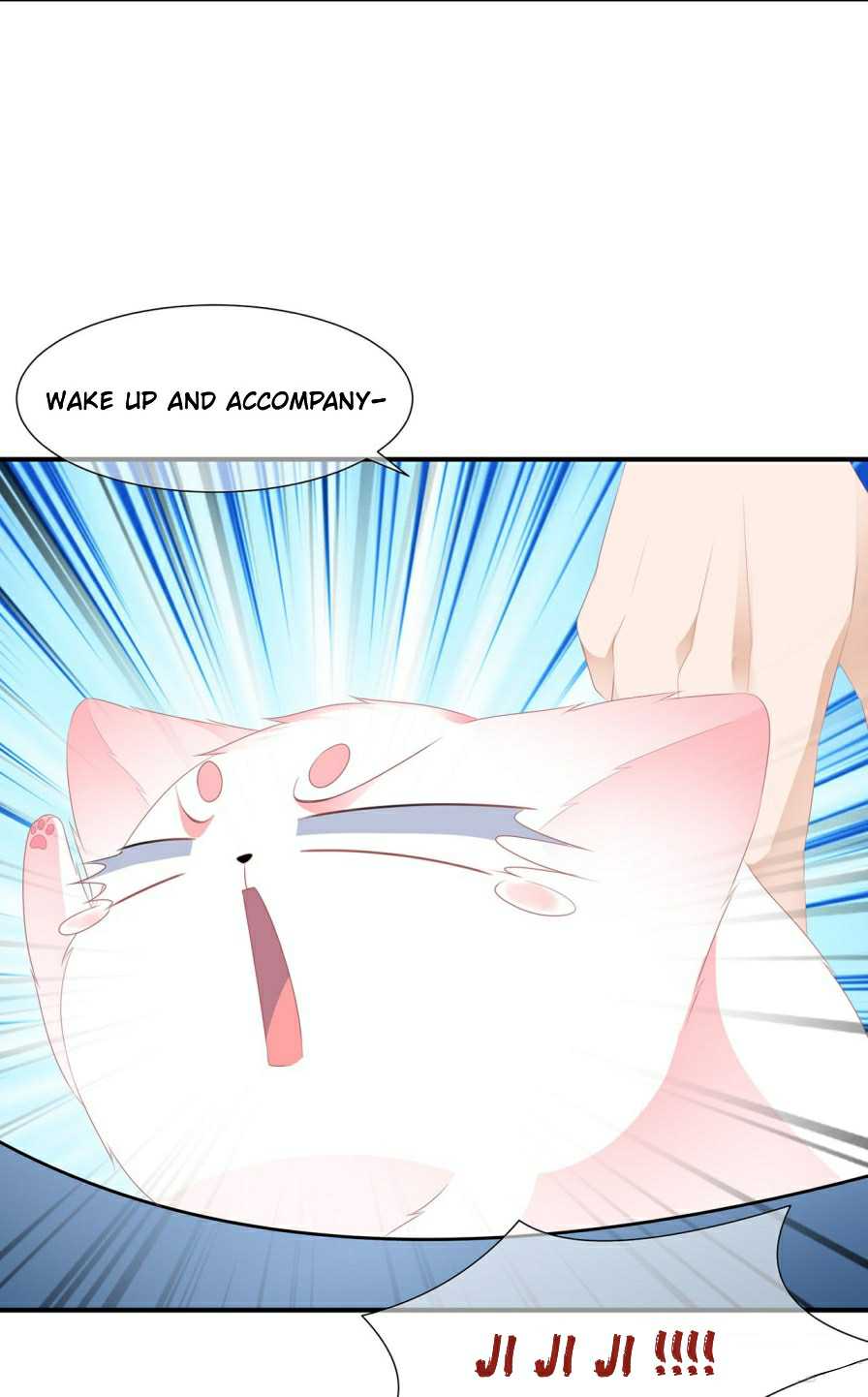 Page 6 of Chapter 12.5
