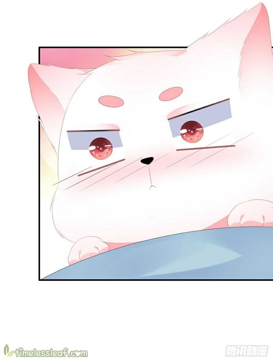 Page 11 of Chapter 13