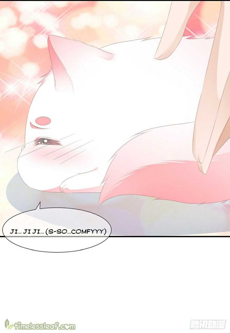 Page 13 of Chapter 13