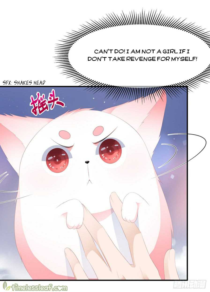 Page 17 of Chapter 13