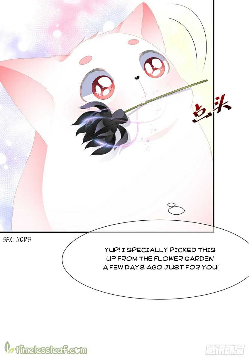 Page 13 of Chapter 14.5