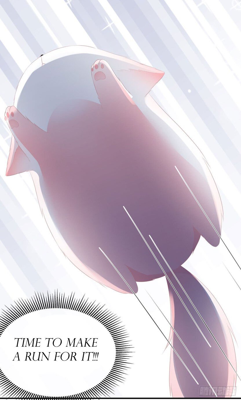 Page 11 of Chapter 15