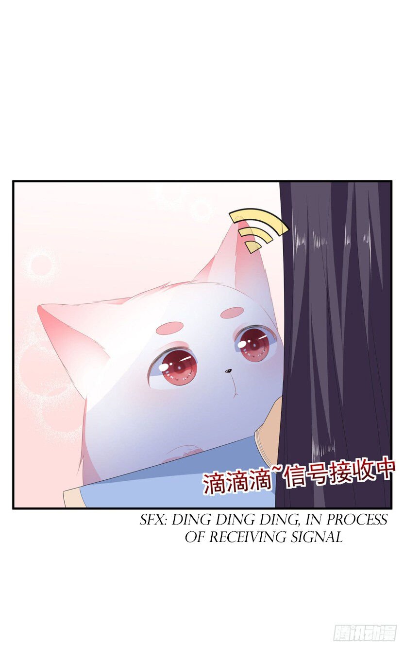 Page 14 of Chapter 15