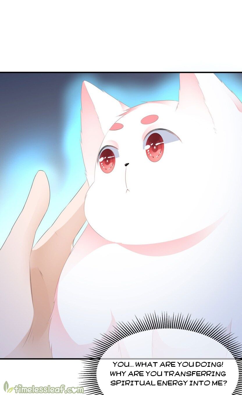 Page 13 of Chapter 16.5