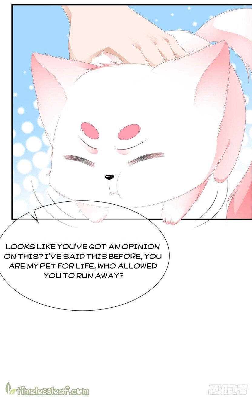 Page 13 of Chapter 16
