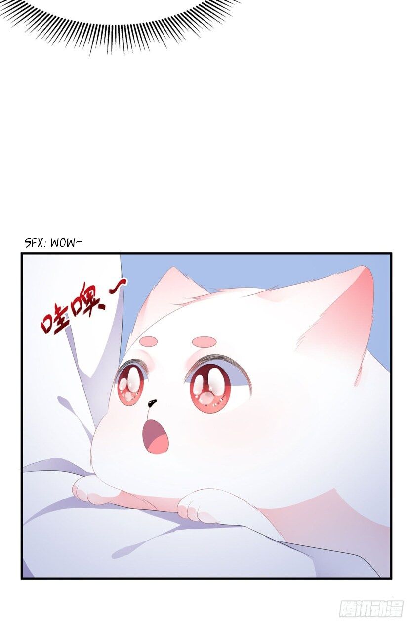 Page 6 of Chapter 17