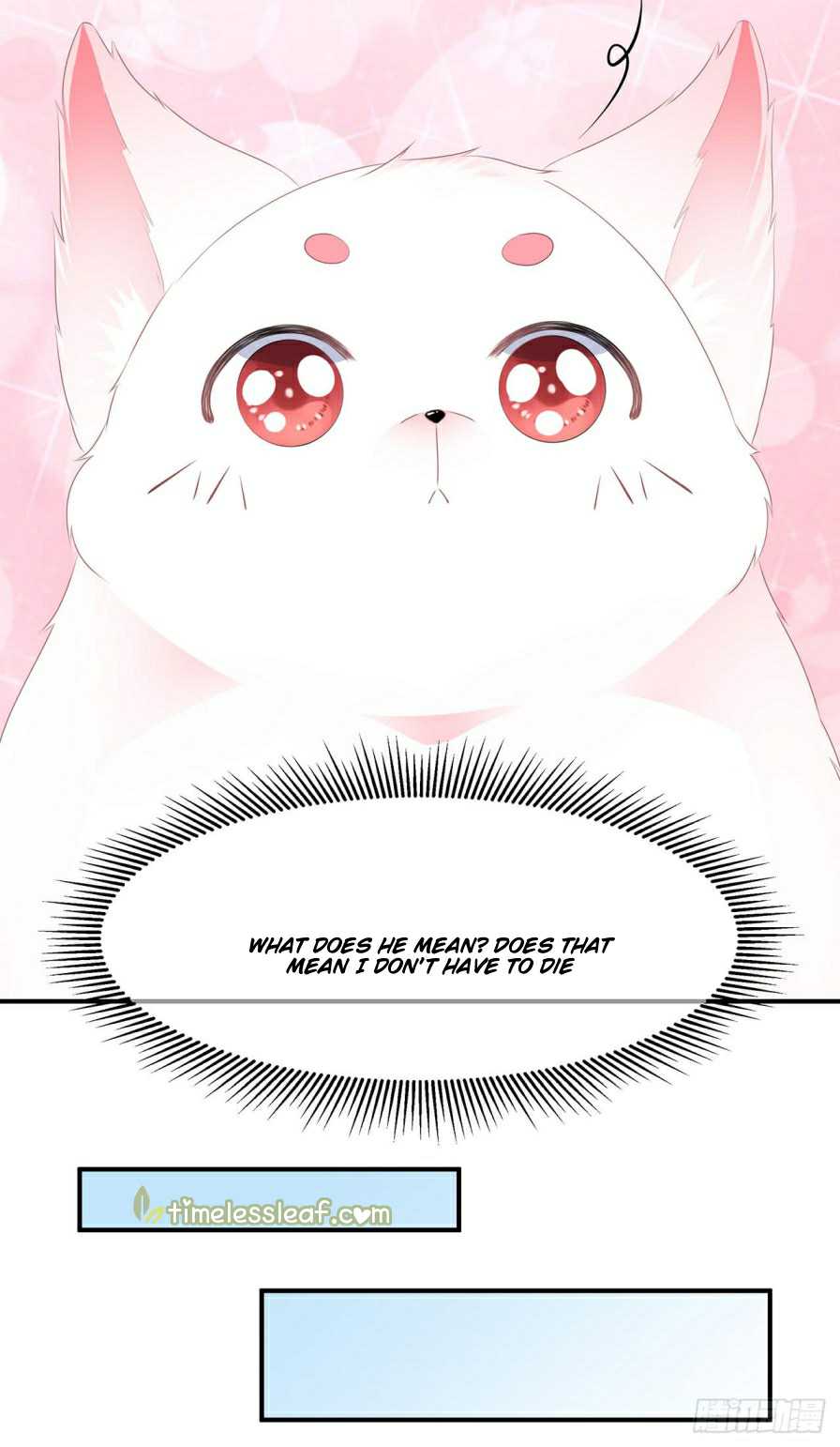 Page 5 of Chapter 2.5