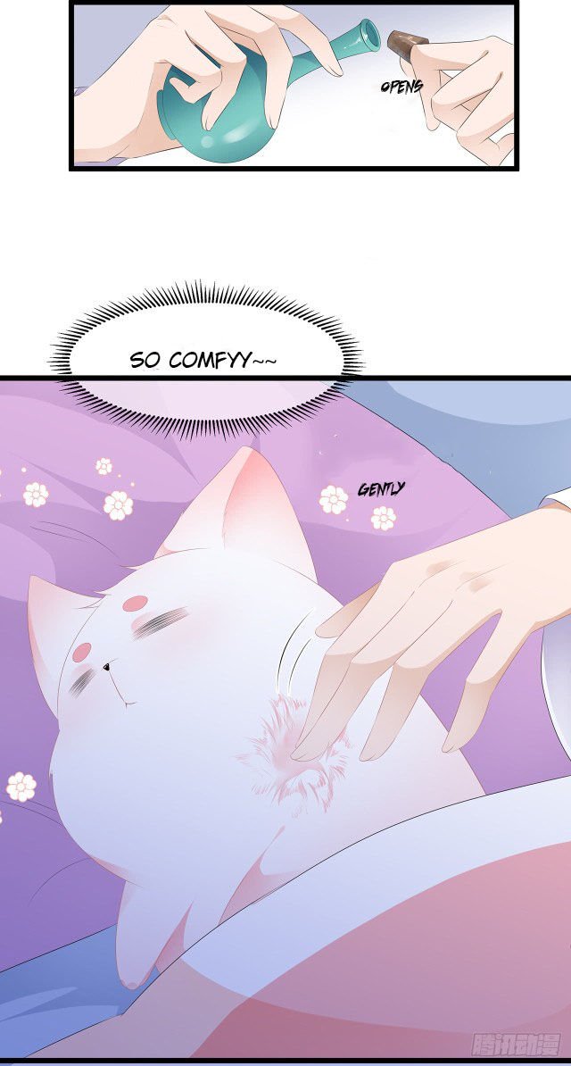 Page 12 of Chapter 20.5