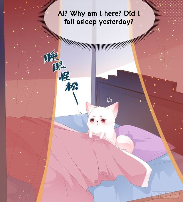 Page 1 of Chapter 21