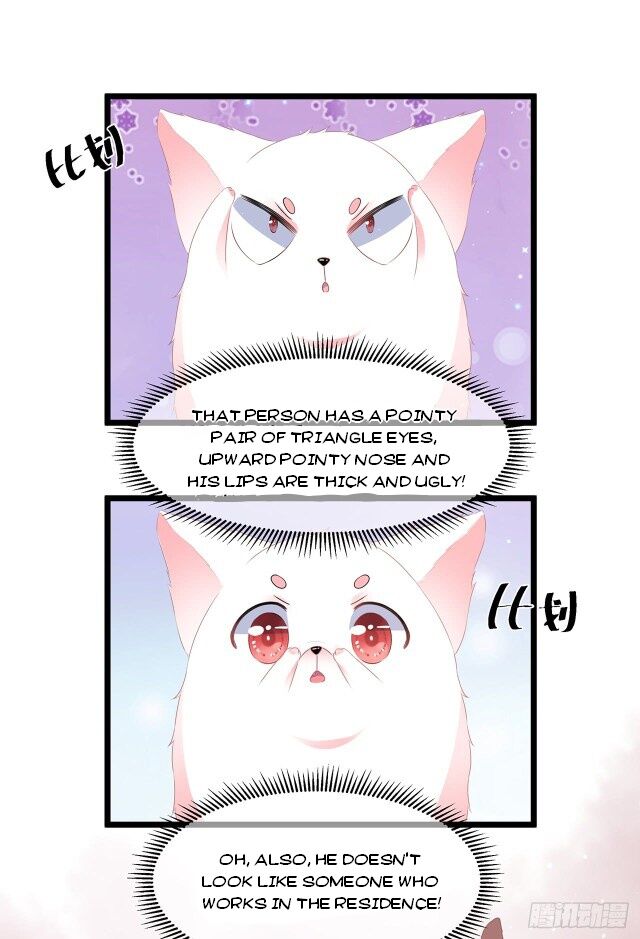 Page 8 of Chapter 23