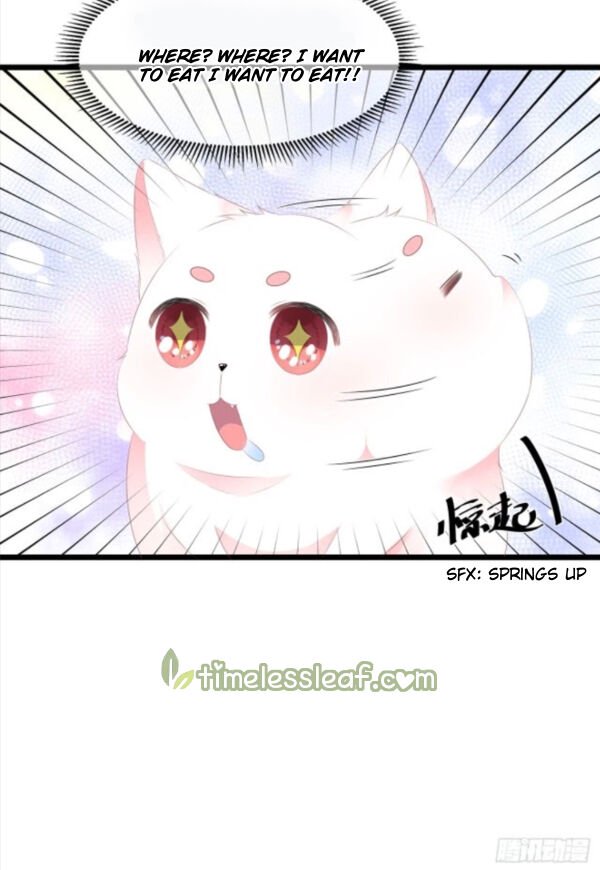 Page 13 of Chapter 24.5