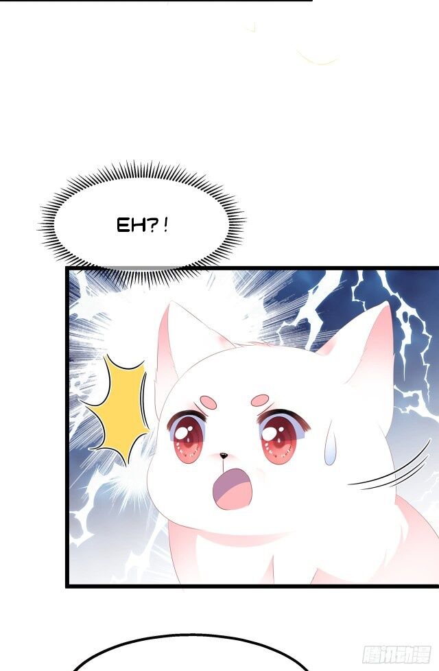 Page 16 of Chapter 25