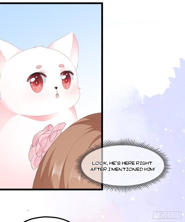 Page 14 of Chapter 29
