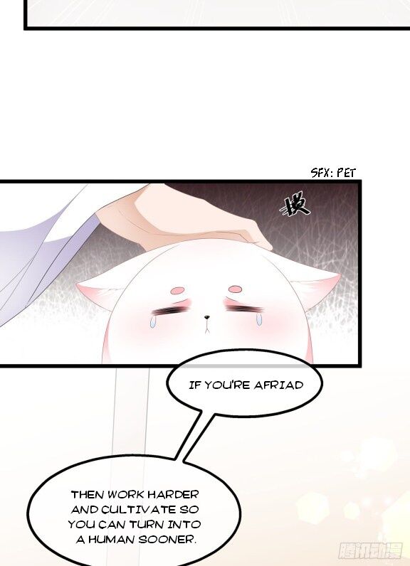 Page 4 of Chapter 33