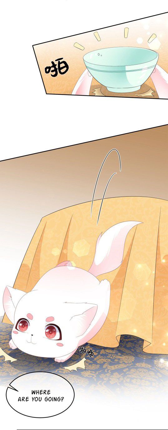 Page 6 of Chapter 55.5