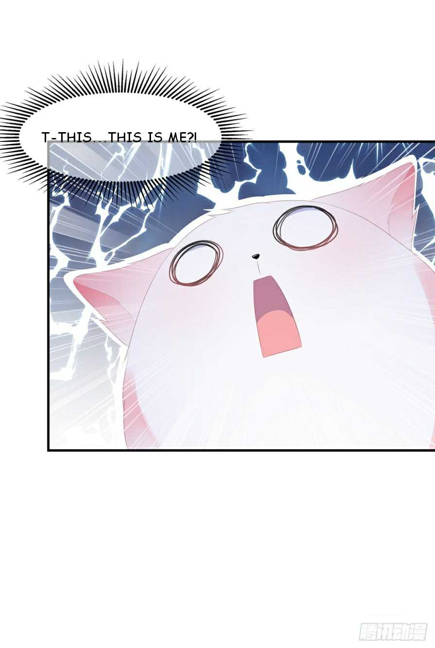Page 4 of Chapter 6.5