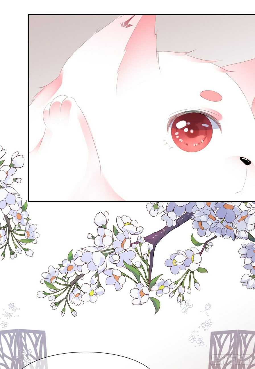Page 8 of Chapter 6.5