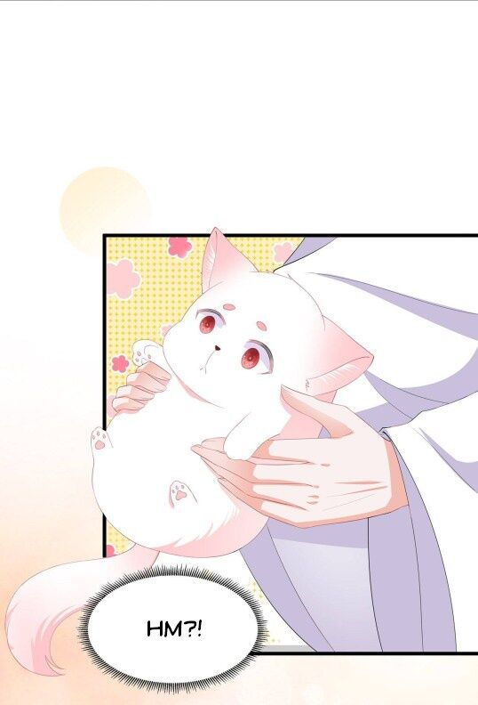 Page 11 of Chapter 60.5